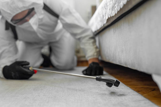 Professional Bed Bug Control technician working in Garfield County County, WA